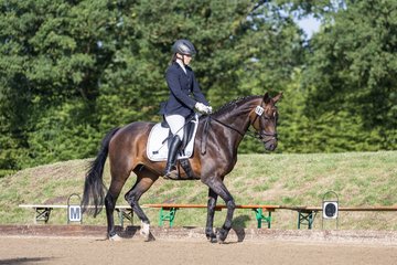 Bild 62 - Pony Akademie Turnier